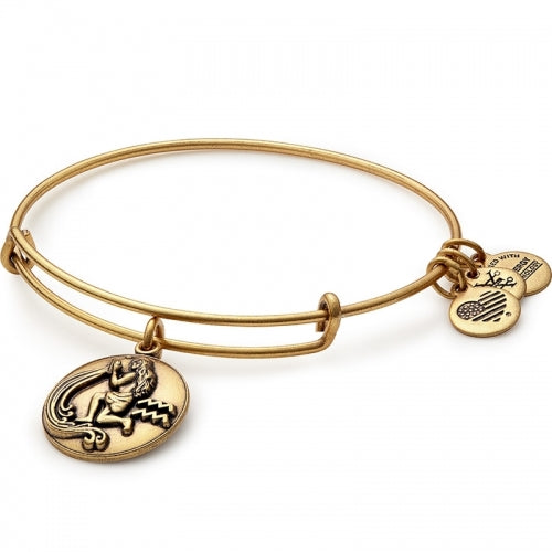 Alex and on sale ani zodiac bracelet