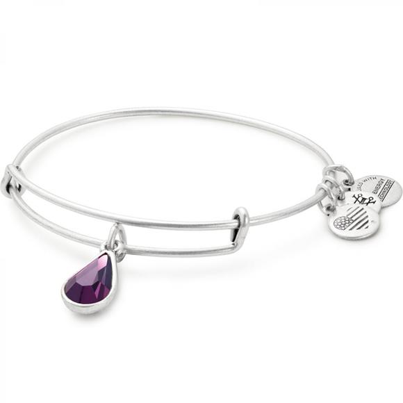 ALEX & ANI CHARM BRACELET