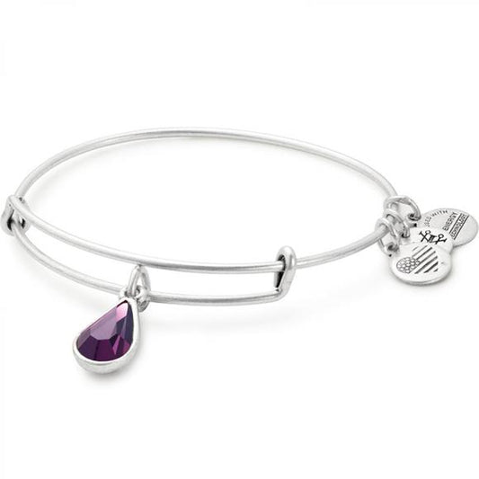 ALEX & ANI CHARM BRACELET