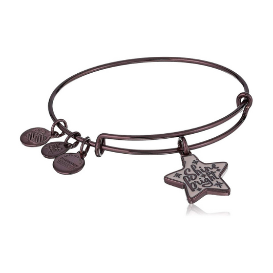 Alex and ani deals puerto rico charm bracelet