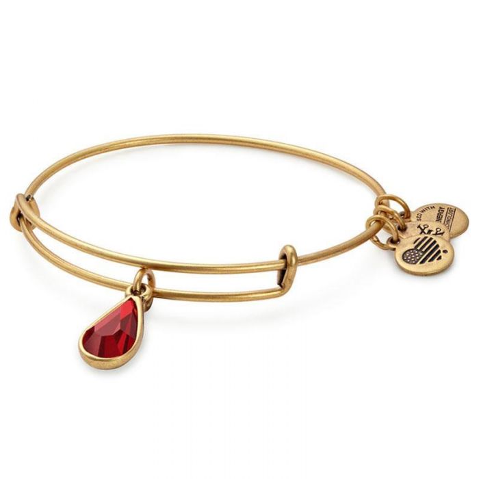 ALEX & ANI CHARM BRACELET