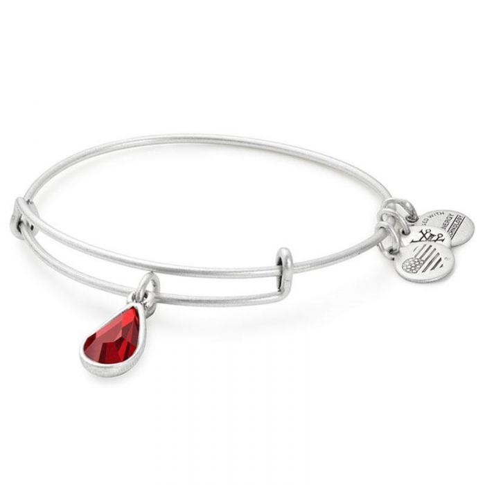 ALEX & ANI CHARM BRACELET