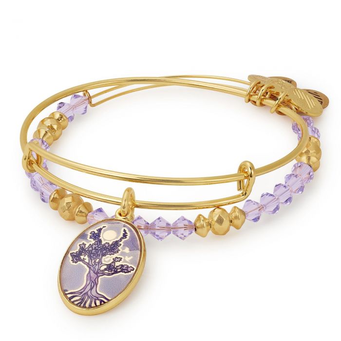 Reeds jewelers alex and ani new arrivals
