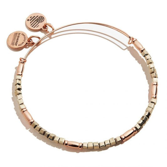 ALEX & ANI CHARM BRACELET